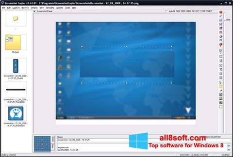 Στιγμιότυπο οθόνης ScreenShot Windows 8