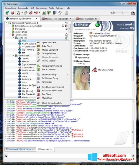 Στιγμιότυπο οθόνης TeamSpeak Windows 8