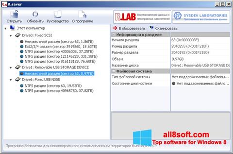 Στιγμιότυπο οθόνης R.saver Windows 8