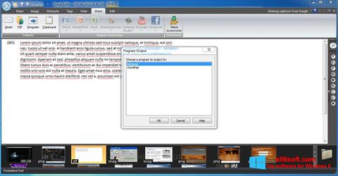 Στιγμιότυπο οθόνης Snagit Windows 8