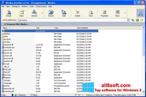 Στιγμιότυπο οθόνης WinAce Windows 8