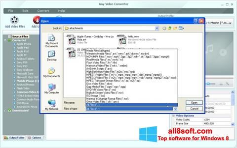 Στιγμιότυπο οθόνης Any Video Converter Windows 8
