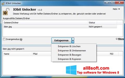 Στιγμιότυπο οθόνης IObit Unlocker Windows 8