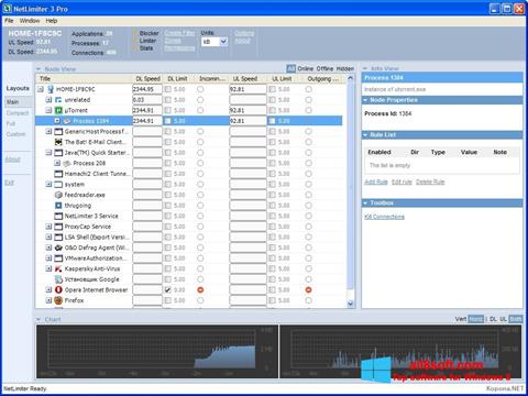 Στιγμιότυπο οθόνης NetLimiter Windows 8