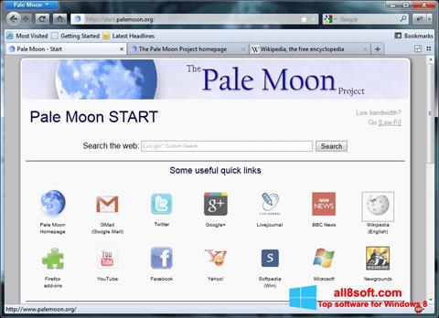 Στιγμιότυπο οθόνης Pale Moon Windows 8