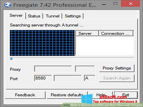 Στιγμιότυπο οθόνης Freegate Windows 8
