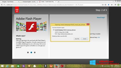 Στιγμιότυπο οθόνης Adobe Flash Player Windows 8
