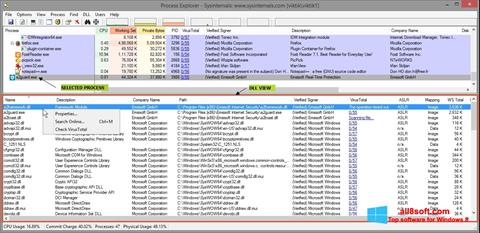 Στιγμιότυπο οθόνης Process Explorer Windows 8